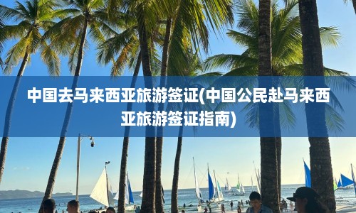 中国去马来西亚旅游签证(中国公民赴马来西亚旅游签证指南)  第1张