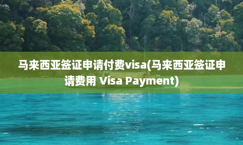 马来西亚签证申请付费visa(马来西亚签证申请费用 Visa Payment)  第1张