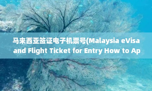 马来西亚签证电子机票号(Malaysia eVisa and Flight Ticket for Entry How to Apply Validate)  第1张