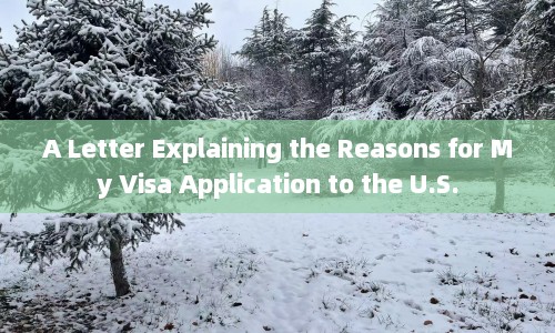 A Letter Explaining the Reasons for My Visa Application to U.S.  第1张