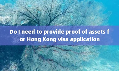 Do I need to provide proof of assets for Hong Kong visa application  第1张