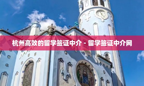 杭州高效的留学签证中介 - 留学签证中介网  第1张