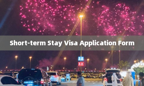 Short-term Stay Visa Application Form  第1张