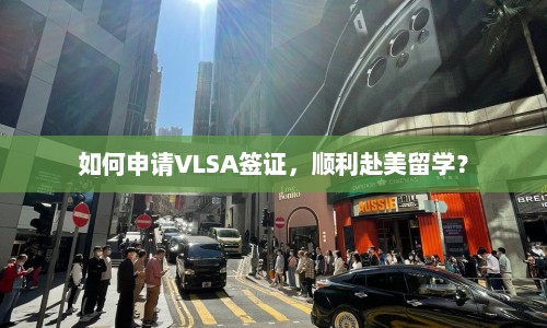 如何申请VLSA签证，顺利赴美留学？  第1张