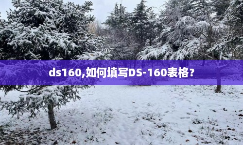 ds160,如何填写DS-160表格？  第1张