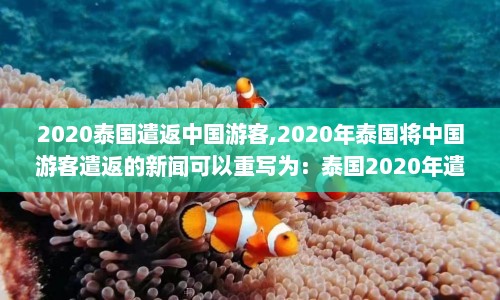 2020泰国遣返中国游客,2020年泰国将中国游客遣返的新闻可以重写为：泰国2020年遣返中国游客  第1张