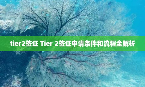 tier2签证 Tier 2签证申请条件和流程全解析  第1张