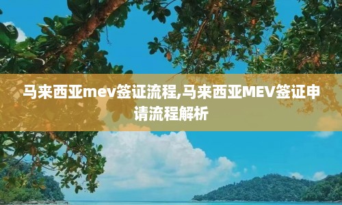 马来西亚mev签证流程,马来西亚MEV签证申请流程解析