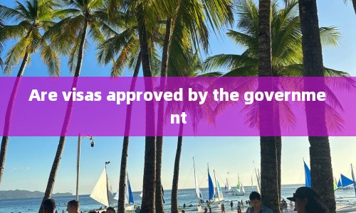 Are visas approved by the government  第1张