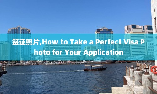 签证照片,How to Take a Perfect Visa Photo for Your Application  第1张