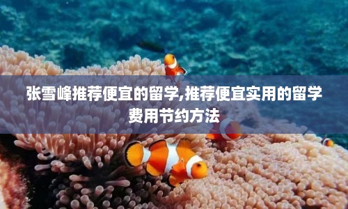 张雪峰推荐便宜的留学,推荐便宜实用的留学费用节约方法  第1张
