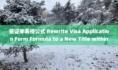 签证单表格公式 Rewrite Visa Application Form Formula to a New Title within 50 Characters  第1张