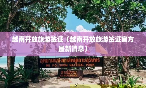 越南开放旅游签证（越南开放旅游签证官方最新消息）  第1张