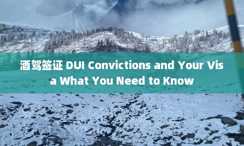 酒驾签证 DUI Convictions and Your Visa What You Need to Know  第1张