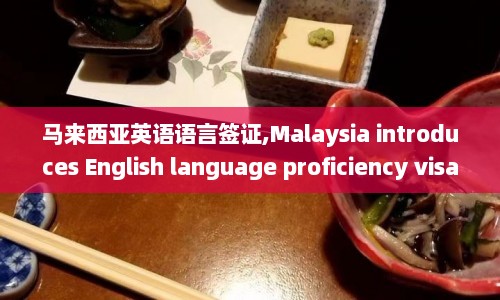 马来西亚英语语言签证,Malaysia introduces English language proficiency visa requirements  第1张
