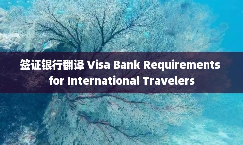 签证银行翻译 Visa Bank Requirements for International Travelers  第1张