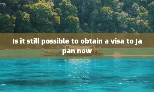 Is it still possible to obtain a visa Japan now  第1张