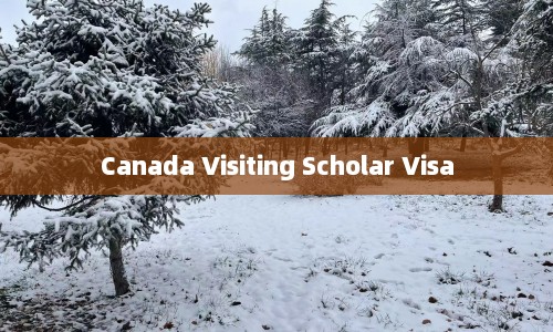 Canada Visiting Scholar Visa  第1张