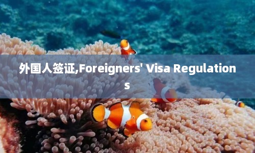 外国人签证,Foreigners' Visa Regulations  第1张