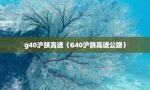 g40沪陕高速（G40沪陕高速公路）  第1张