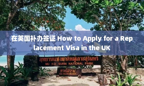 在英国补办签证 How to Apply for a Replacement Visa in the UK  第1张