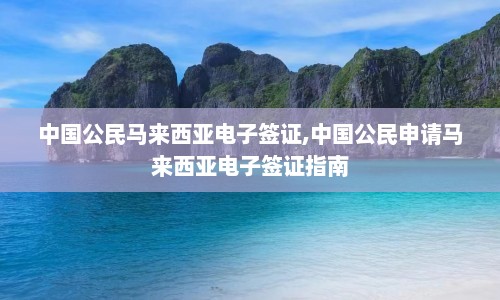 中国公民马来西亚电子签证,中国公民申请马来西亚电子签证指南  第1张