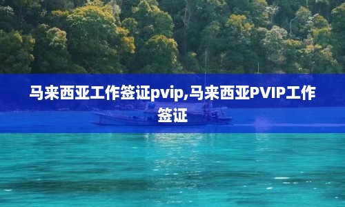 马来西亚工作签证pvip,马来西亚PVIP工作签证