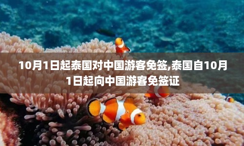 10月1日起泰国对中国游客免签,泰国自10月1日起向中国游客免签证  第1张
