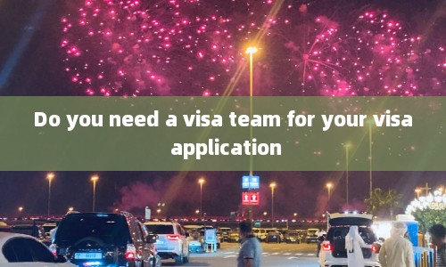 Do you need a visa team for your application  第1张
