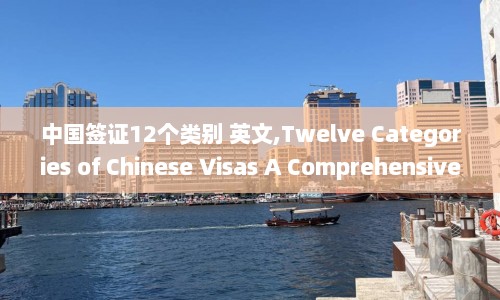 中国签证12个类别 英文,Twelve Categories of Chinese Visas A Comprehensive Guide.  第1张