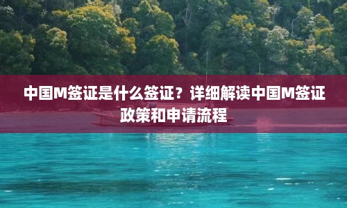 中国M签证是什么签证？详细解读中国M签证政策和申请流程  第1张