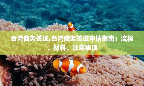 台湾商务签证,台湾商务签证申请指南：流程、材料、注意事项  第1张
