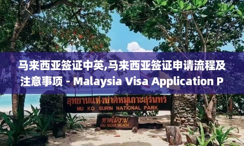 马来西亚签证中英,马来西亚签证申请流程及注意事项 - Malaysia Visa Application Process and Important Information  第1张