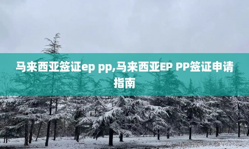 马来西亚签证ep pp,马来西亚EP PP签证申请指南