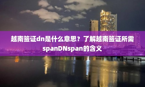 越南签证dn是什么意思？了解越南签证所需spanDNspan的含义  第1张