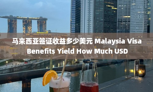 马来西亚签证收益多少美元 Malaysia Visa Benefits Yield How Much USD  第1张