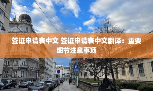 签证申请表中文 签证申请表中文翻译：重要细节注意事项  第1张