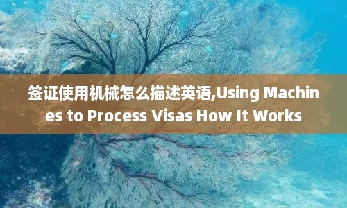 签证使用机械怎么描述英语,Using Machines to Process Visas How It Works  第1张