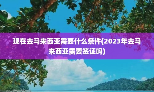 现在去马来西亚需要什么条件(2023年去马来西亚需要签证吗)  第1张