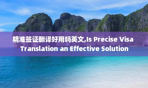 精准签证翻译好用吗英文,Is Precise Visa Translation an Effective Solution  第1张