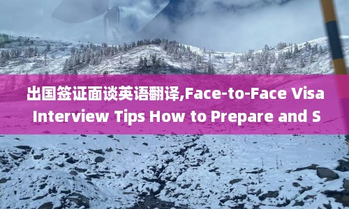 出国签证面谈英语翻译,Face-to-Face Visa Interview Tips How to Prepare and Succeed  第1张