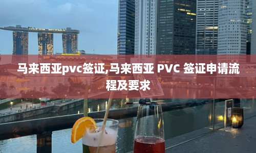 马来西亚pvc签证,马来西亚 PVC 签证申请流程及要求  第1张