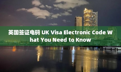 英国签证电码 UK Visa Electronic Code What You Need to Know  第1张