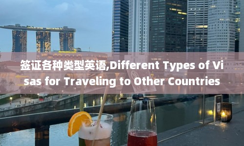 签证各种类型英语,Different Types of Visas for Traveling to Other Countries  第1张