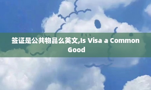 签证是公共物品么英文,Is Visa a Common Good  第1张
