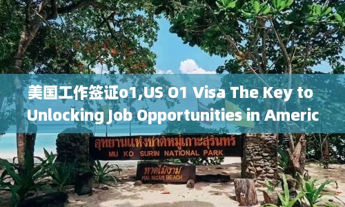 美国工作签证o1,US O1 Visa The Key to Unlocking Job Opportunities in America  第1张