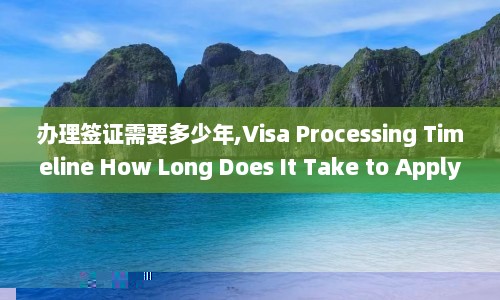 办理签证需要多少年,Visa Processing Timeline How Long Does It Take to Apply  第1张