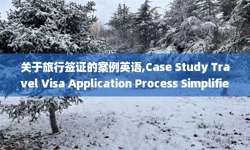 关于旅行签证的案例英语,Case Study Travel Visa Application Process Simplified  第1张