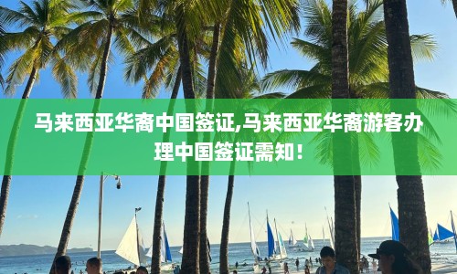 马来西亚华裔中国签证,马来西亚华裔游客办理中国签证需知！  第1张