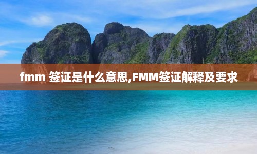 fmm 签证是什么意思,FMM签证解释及要求  第1张